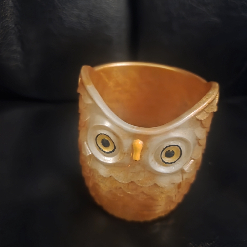 Bronze Resin Owl Planter For Succulant Or Cactus 3.5 X 3 Inch